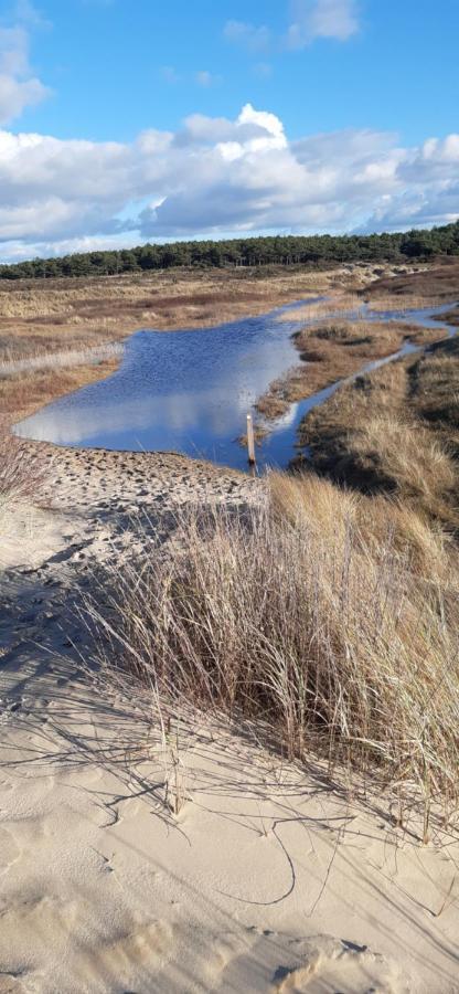 Zilvermeeuw Villa Bergen aan Zee Kültér fotó