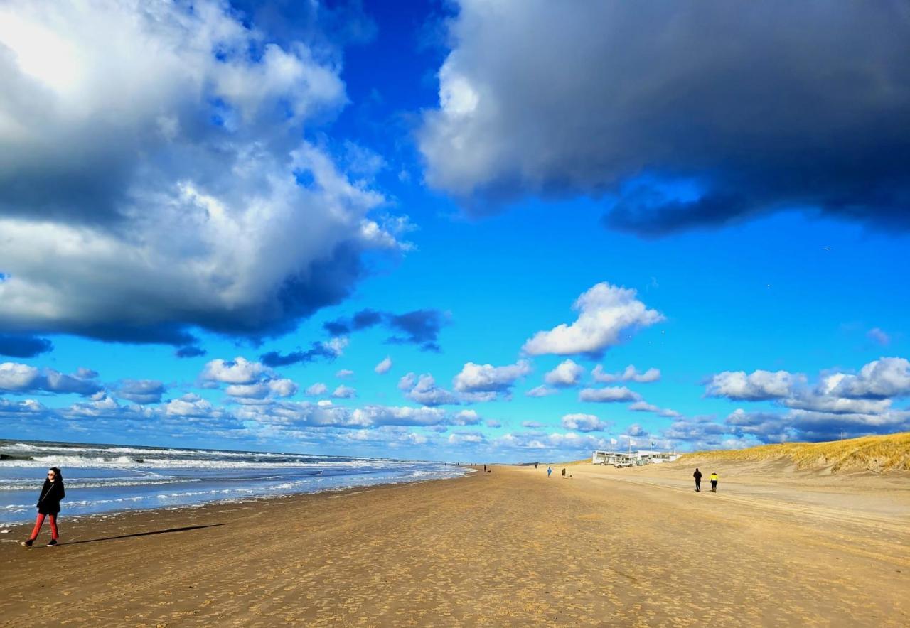 Zilvermeeuw Villa Bergen aan Zee Kültér fotó