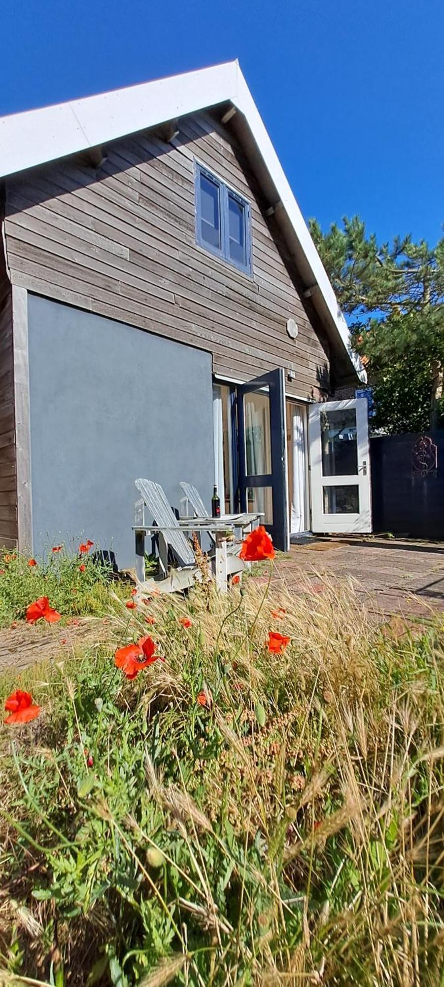 Zilvermeeuw Villa Bergen aan Zee Kültér fotó